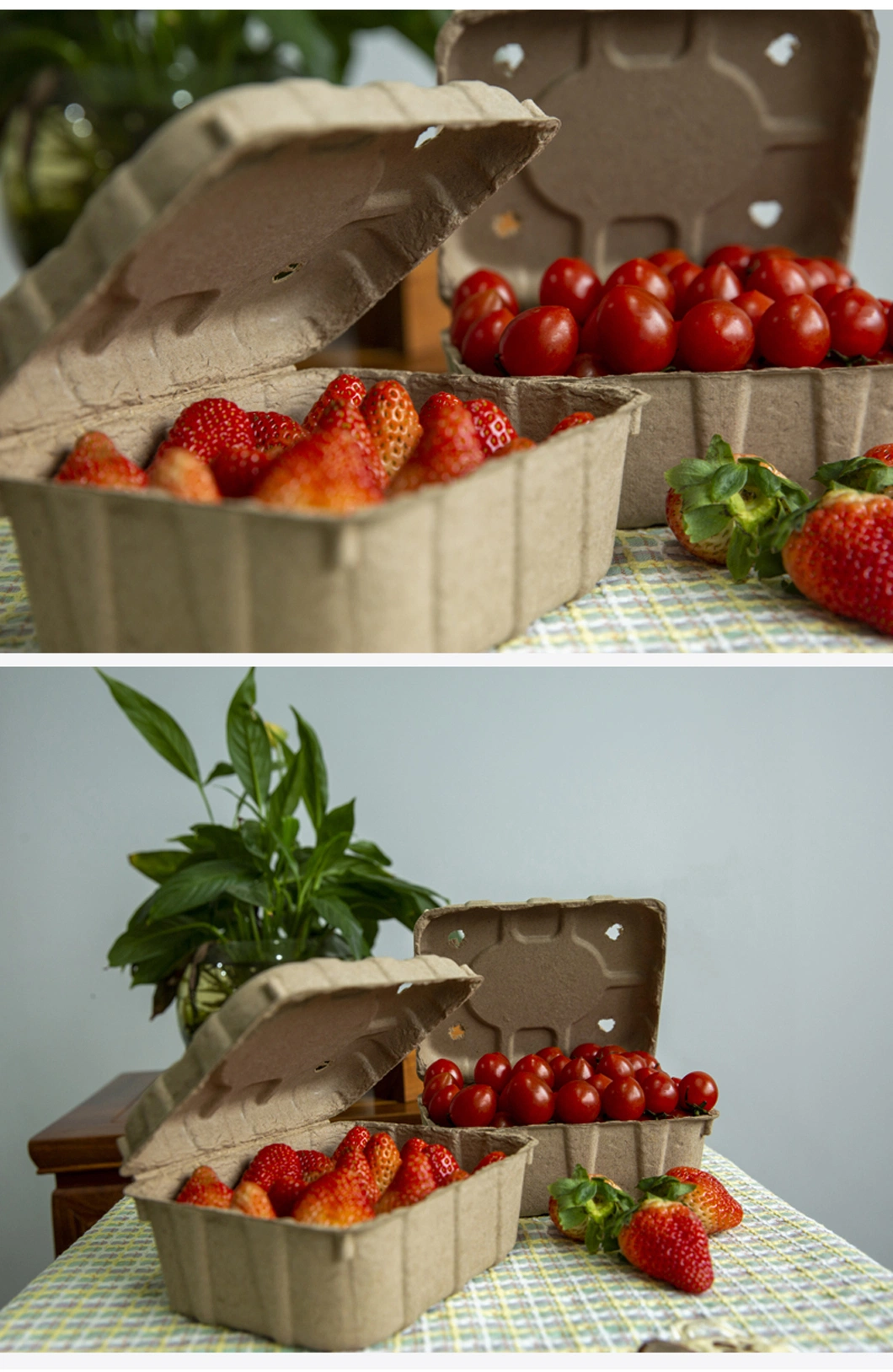 Biodegradable & Eco-Friendly Fruitlet Paper Pulp Packaging Box High Quality Fruit Packaging