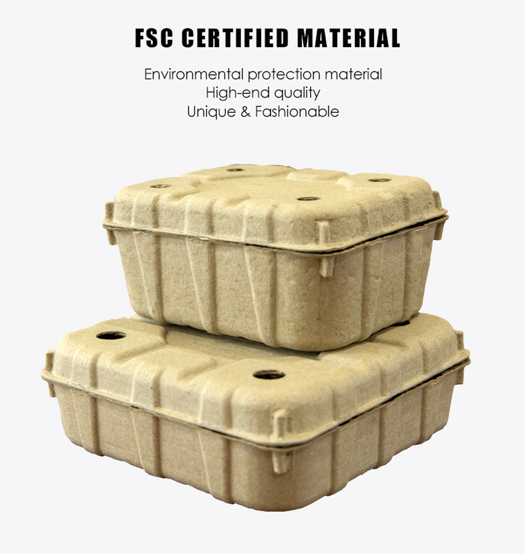 Biodegradable & Eco-Friendly Fruitlet Paper Pulp Packaging Box High Quality Fruit Packaging